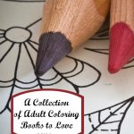 A collection of adult coloring books to love at thatbaldchick.com