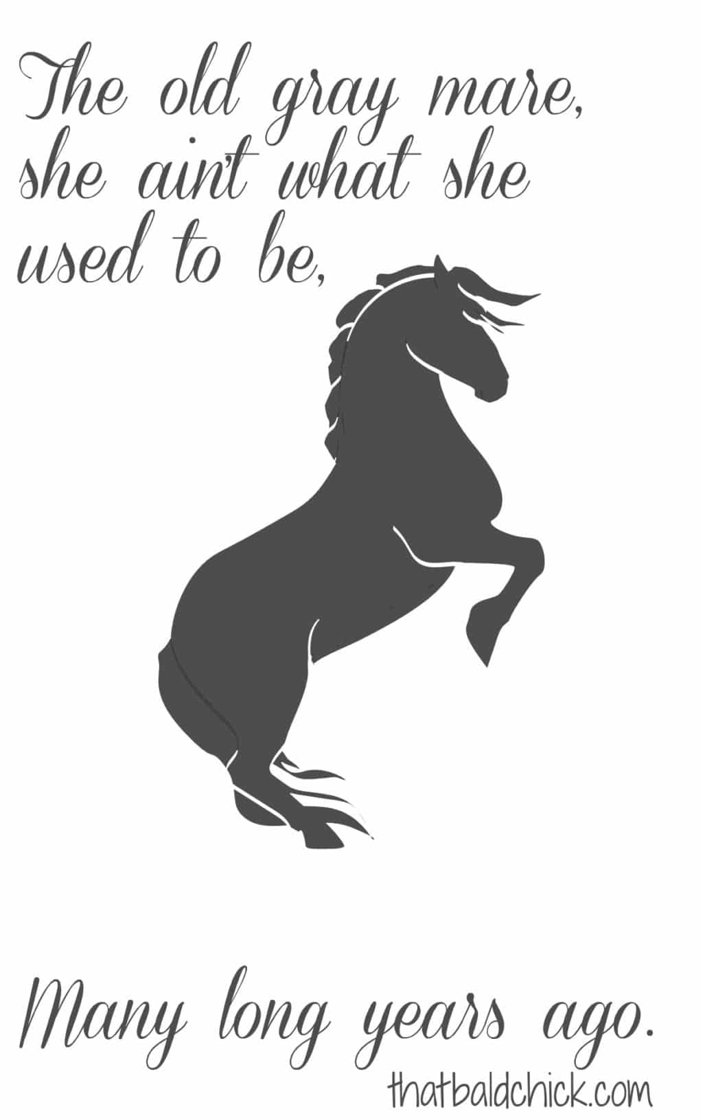 the old grey mare at thatbaldchick.com