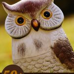 Owl lovers gift guide with over 50 gift ideas at thatbaldchick.com