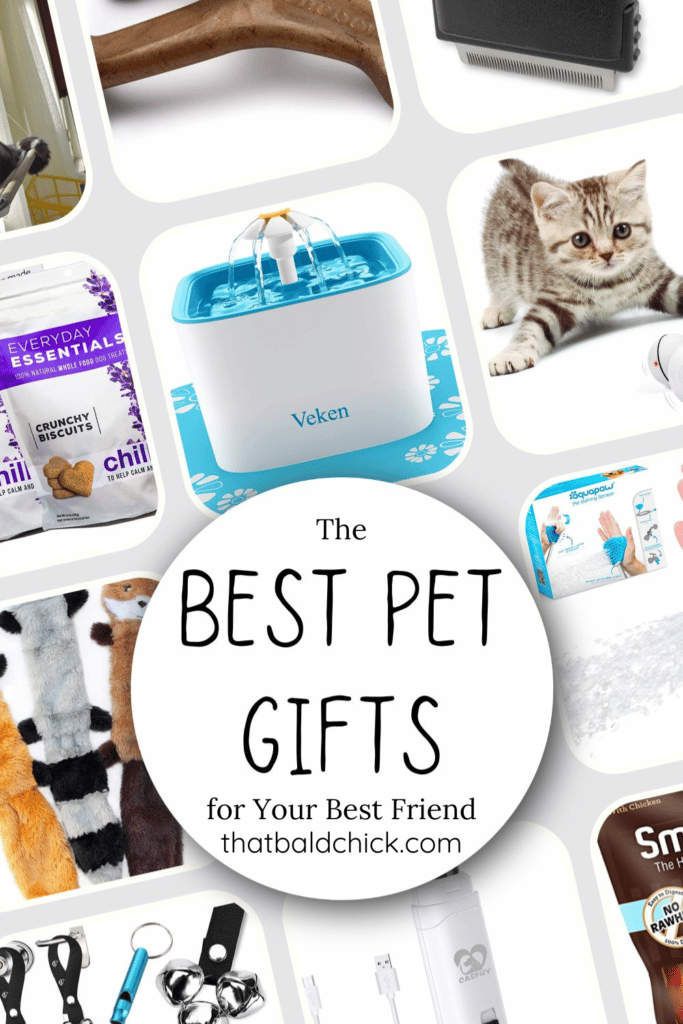 The Best Pet Gifts for Your Best friend